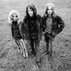 Blue Cheer