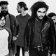 Gang of Youths