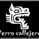 Perro Callejero