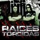 Raices Torcidas